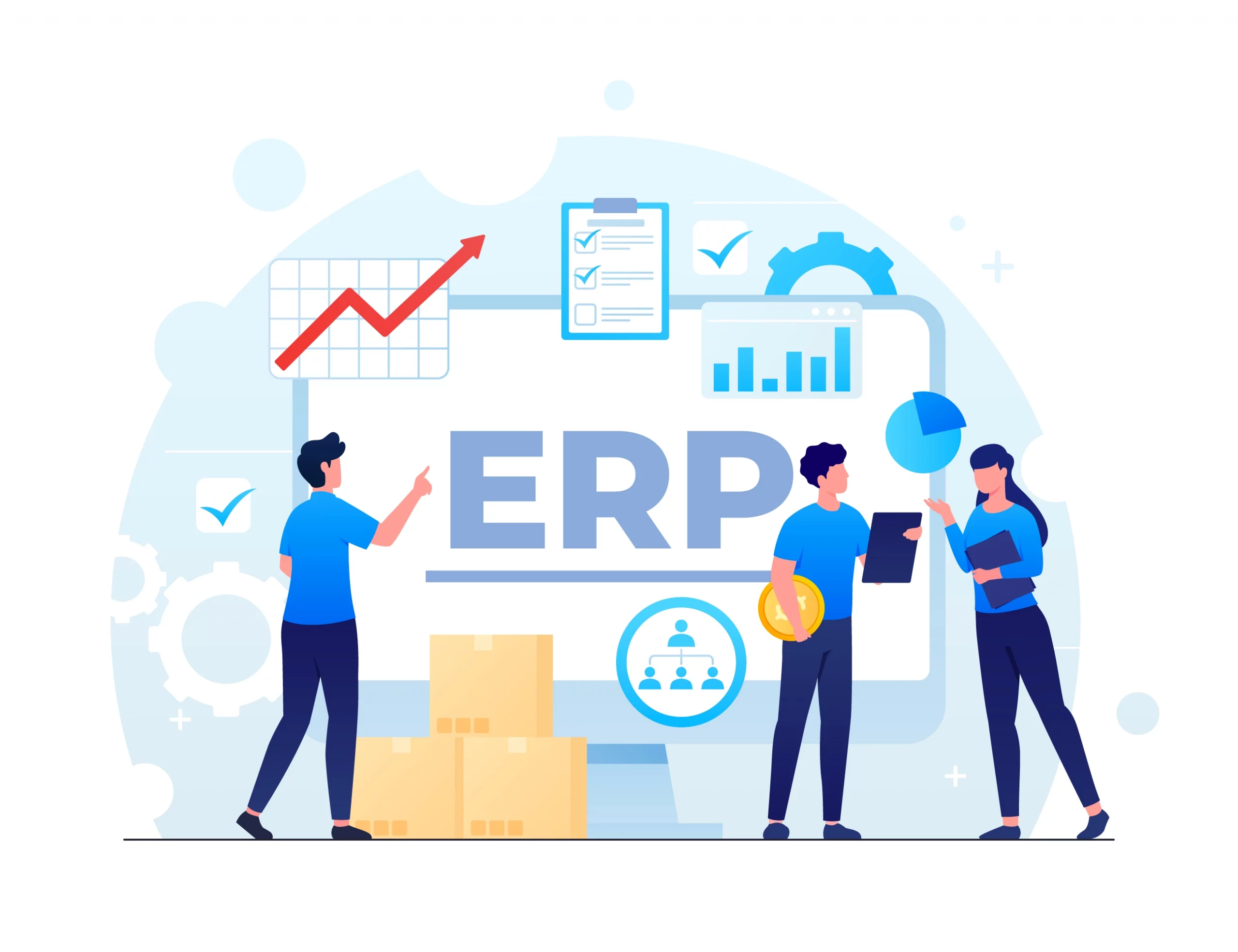 image erp